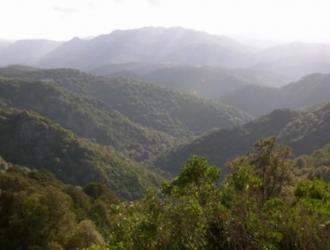 foto vallata di is cannoneris tratta da chia.it