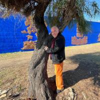 Porta delle Farfalle