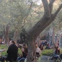 Cortile Principale Monastero dei Benedettini Catania