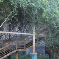 Via Biblioteca Monastero dei Benedettini Catania